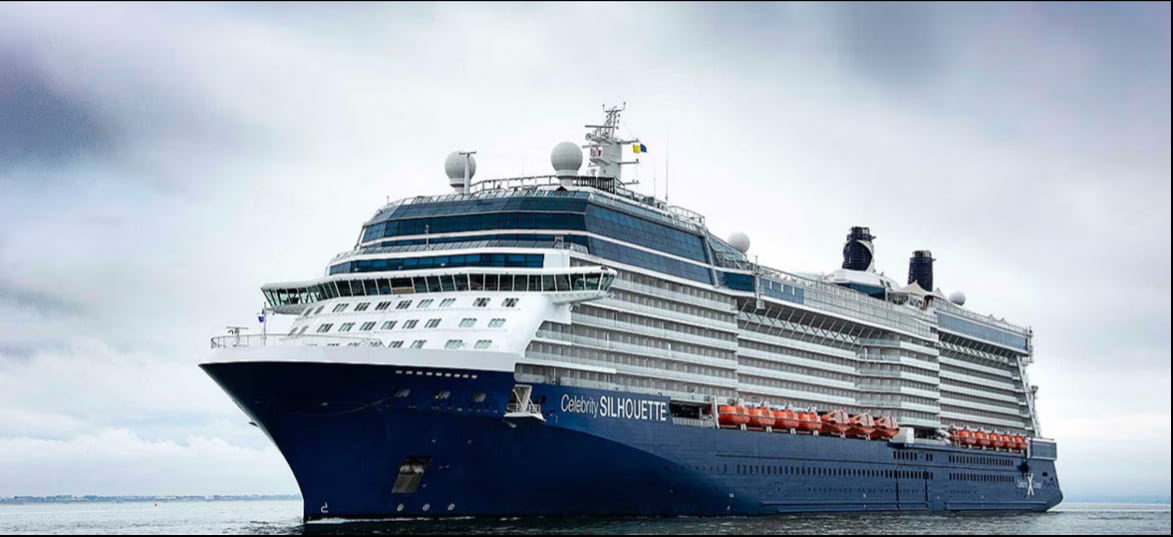 Celebrity Silhouette